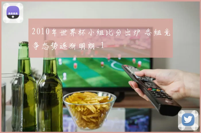 2010年世界杯小组比分出炉 各组竞争态势逐渐明朗_1