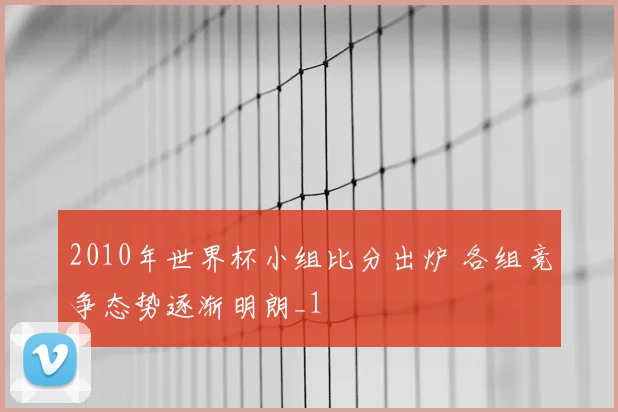 2010年世界杯小组比分出炉 各组竞争态势逐渐明朗_1
