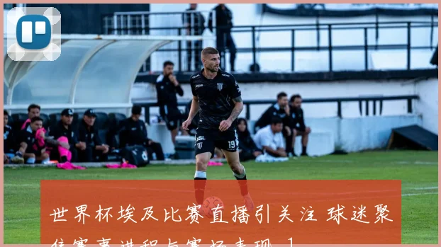 世界杯埃及比赛直播引关注 球迷聚焦赛事进程与赛场表现_1