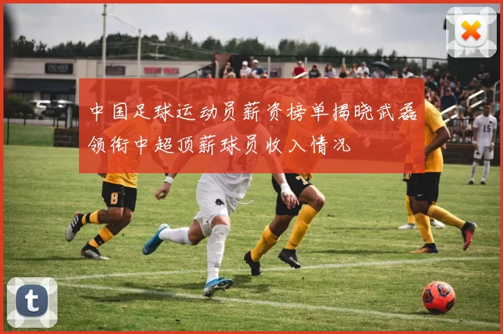 中国足球运动员薪资榜单揭晓武磊领衔中超顶薪球员收入情况