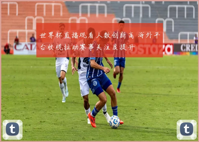 世界杯直播观看人数创新高 海外平台收视拉动赛事关注度提升