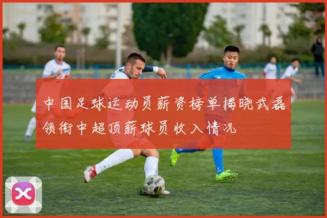 中国足球运动员薪资榜单揭晓武磊领衔中超顶薪球员收入情况