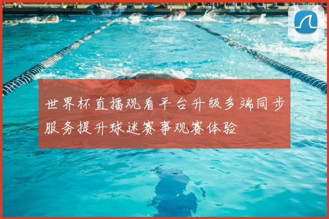 世界杯直播观看平台升级多端同步服务提升球迷赛事观赛体验